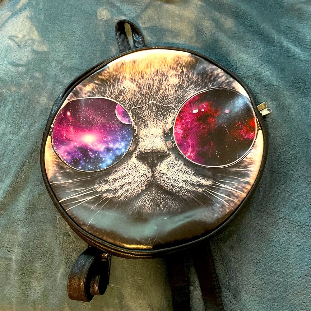 Cat back pack